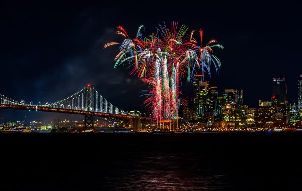 Pedro's Moving Forward: Your 2024 Guide to Fun and Fuss-Free Moving!