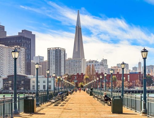 Busting Moving Myths: The Real Scoop from Pedro’s Pros